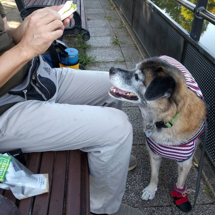 7503833b fe1c 43e5 a302 b8d4f98799a5 1535241672160