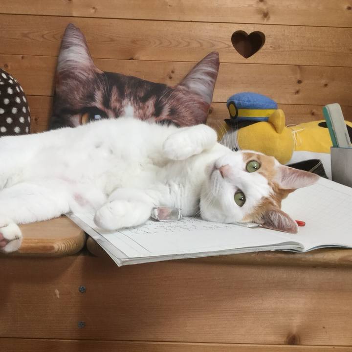 75038c18 0abe 48bb 93e7 3f2d6460f67d 1531729659899