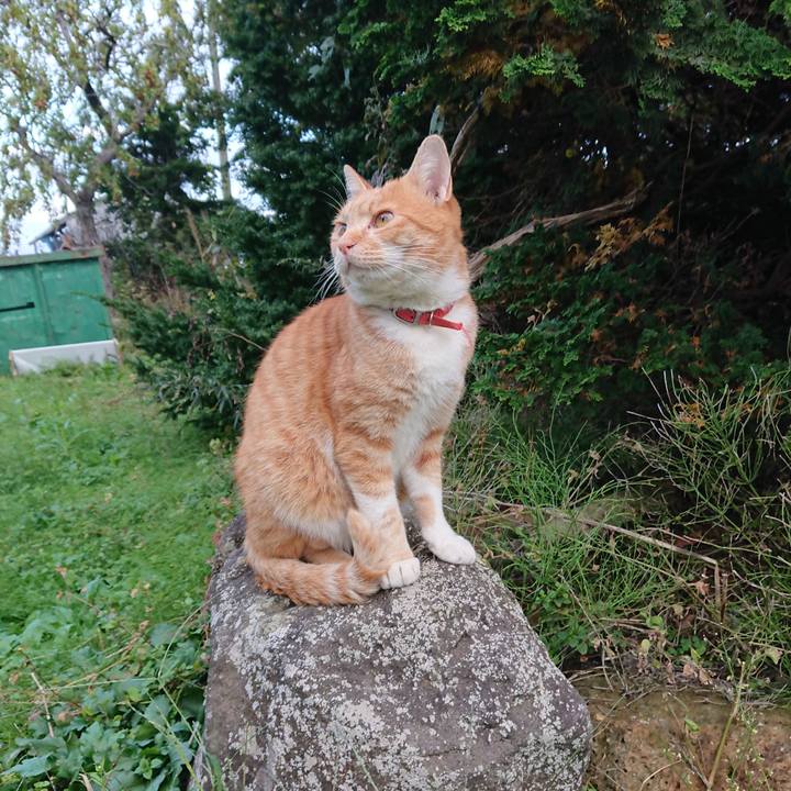 7503b151 85aa 45d3 b256 d3d696e44436 1572160661202