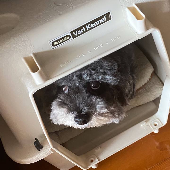 7503c459 0897 4c37 adf4 5cbe528e46fc 1634263066969