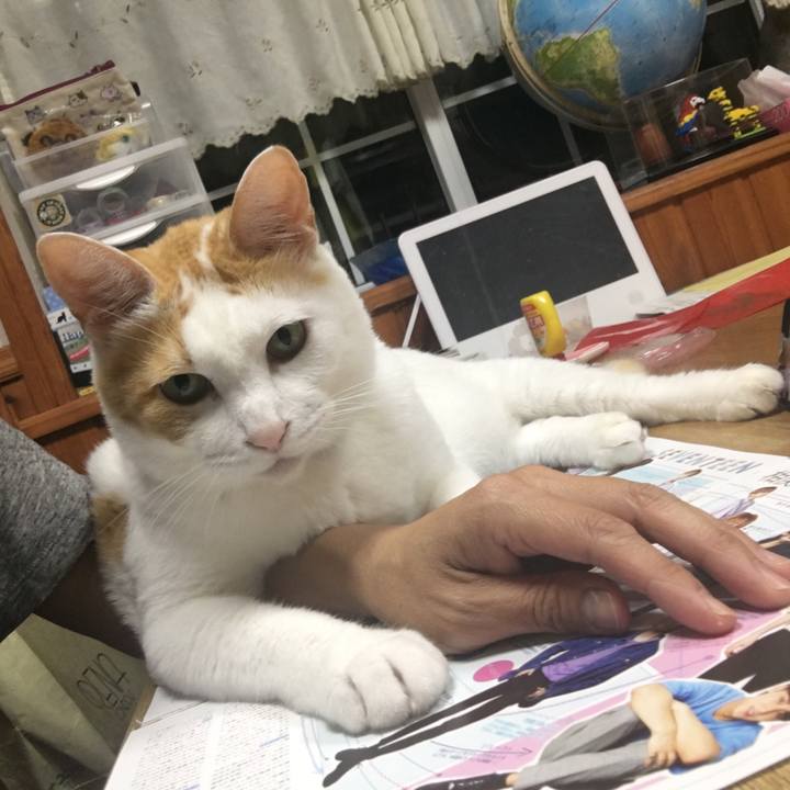 7503e581 ec76 41f3 9358 25264e5bca31 1535975280452