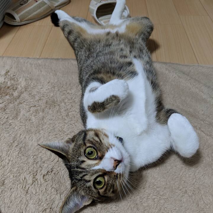 7503eb13 66de 43dd 8063 1b475a0003fd 1549984515251