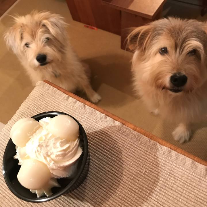 7503f222 c5ae 4afa 811b 2158e12a41ce 1543184592407