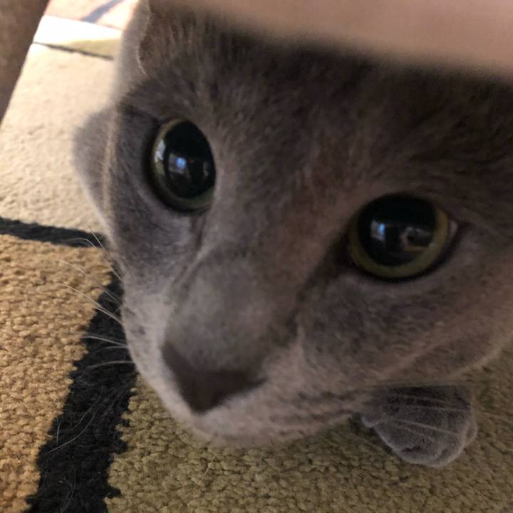 750417ba 9f14 44ec 9a51 9dc267f89333 1562478009404