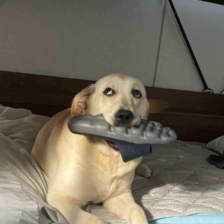 750425be 49d4 4f88 9bb5 d40edc635eae 1632444024396