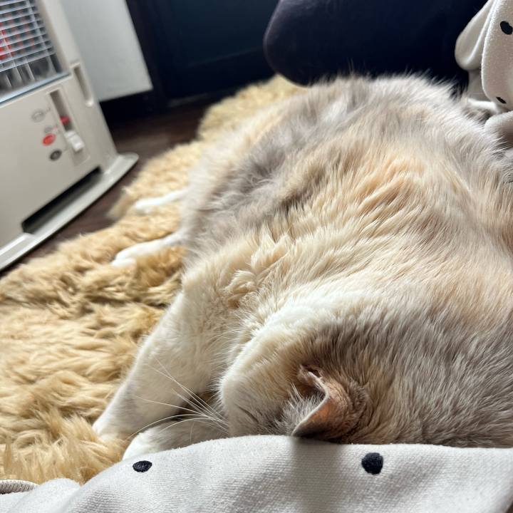 75042bff 7dd4 411f 9b8d 813948d0f5a2 1771847586007