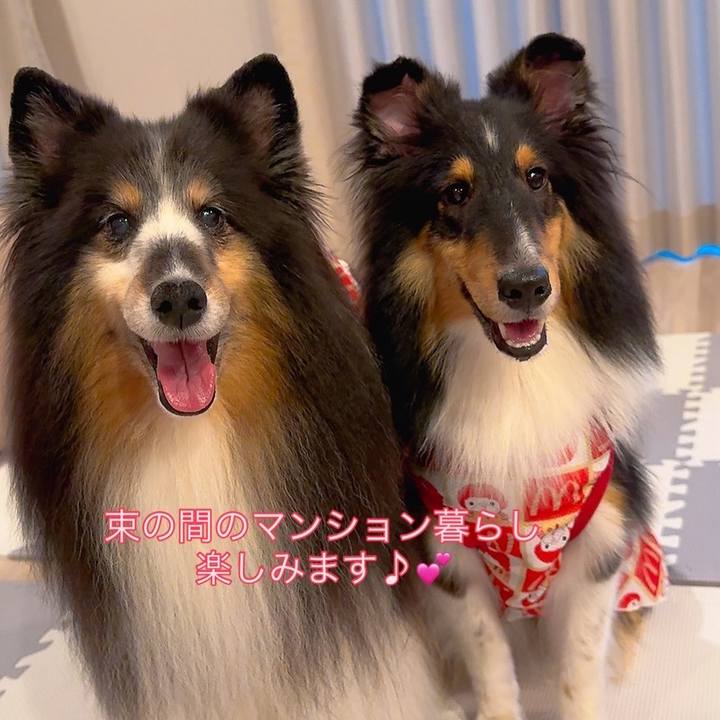 75047a22 67f9 48ce 91e8 9921ac24c9f3 1754922310028