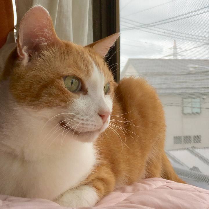 75048f43 fc61 45c3 8336 bc6d33e162e8 1566457233661