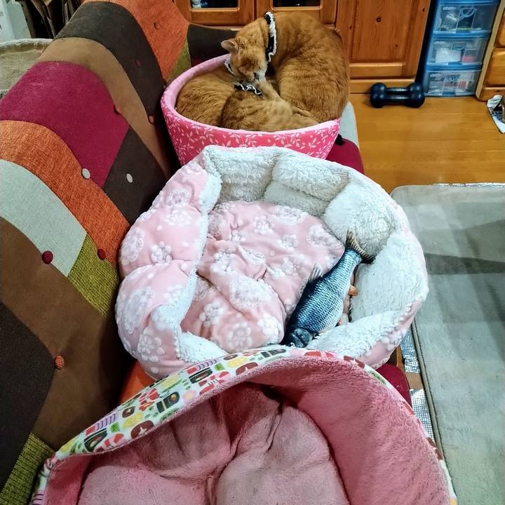 75049179 709b 461e 8fe0 16a5b6072727 1590038914693