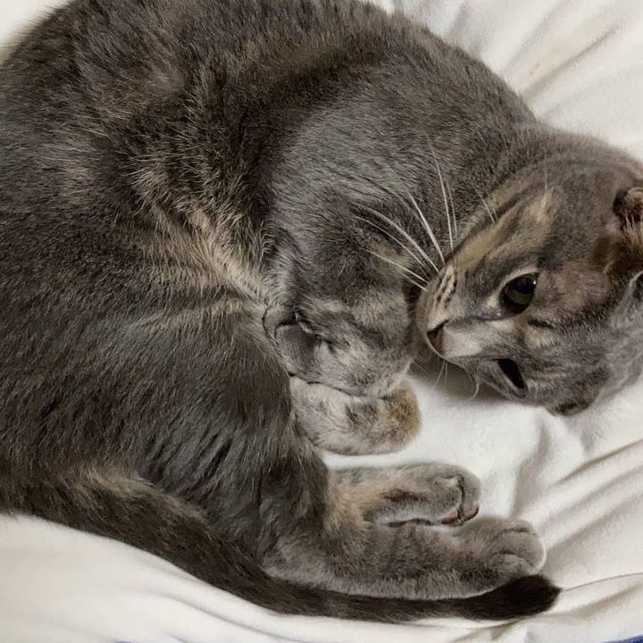 7504bfc1 77b7 4bec 8c69 0cb9812666c6 1690978378062