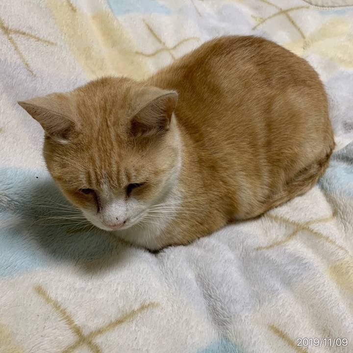 7504e186 4936 4314 bb4c 10acfd489d18 1573299372536