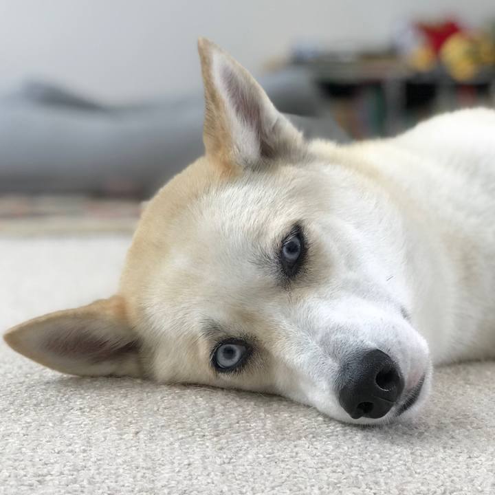 75050ffb efe5 4acb a85f 0789457bb093 1531341575758