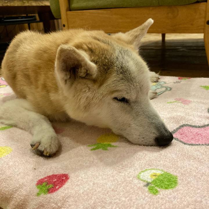 75052bbb e958 4f60 ba3f e4ad20e54e89 1598449118484