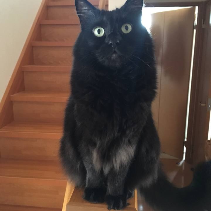 75053e12 df11 4186 b998 1c34865993c2 1525399587407