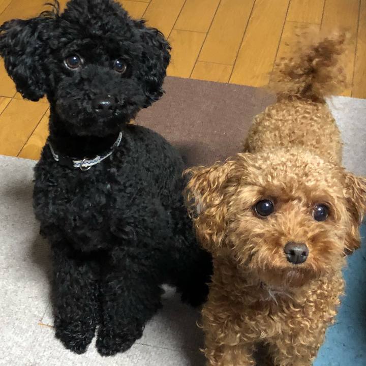 75053ef6 ccf5 41d9 81cc 047de0b8bced 1529448736545