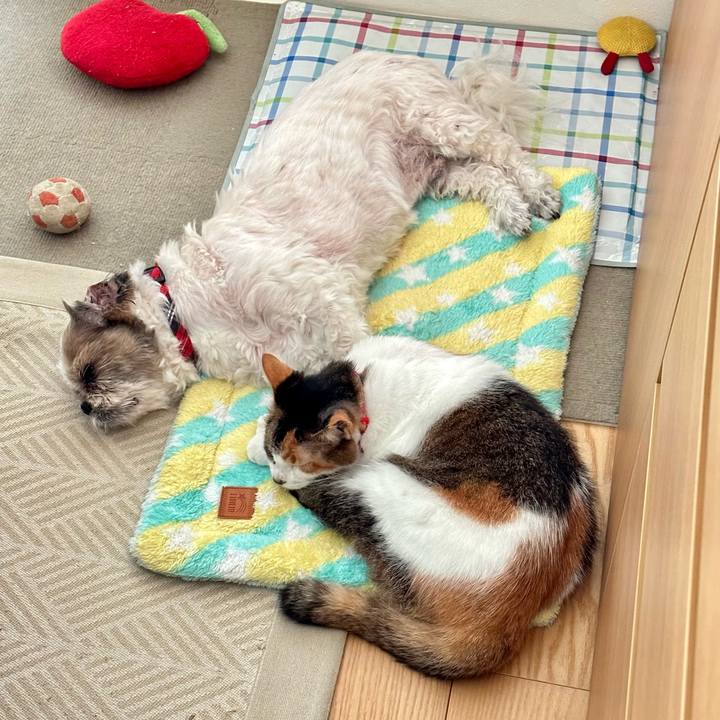 750569cf e368 44fe 977d 627d9b6deb20 1696128802894