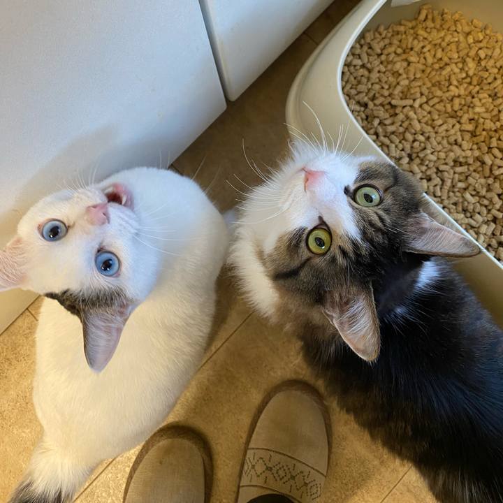 75056e21 5cc6 4155 8822 1bfd828cf114 1670972941870