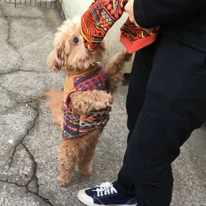 750589af 29c2 4065 89f6 c6bf9e6e6e41 1517963765733