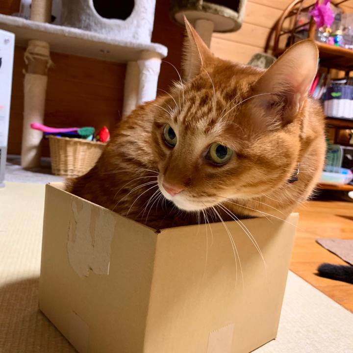 75058b0c f61b 4f25 ac62 be9dbc28ed08 1576243157562