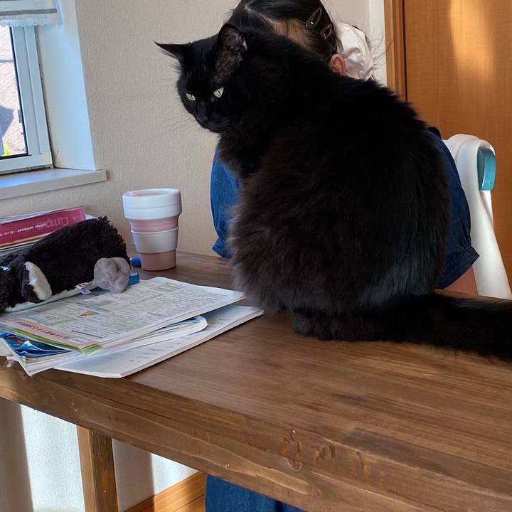 75059825 1a45 4052 9779 82c5a7a24065 1630480296154