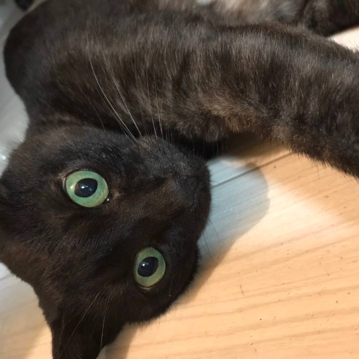 75059a51 a8ef 4a54 93b8 b671418758f9 1688421890804