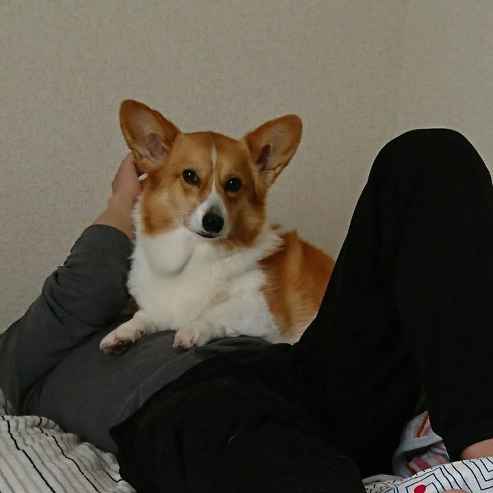 7505dd06 47ef 4ff6 a661 b32e6b8317ce 1521857888783