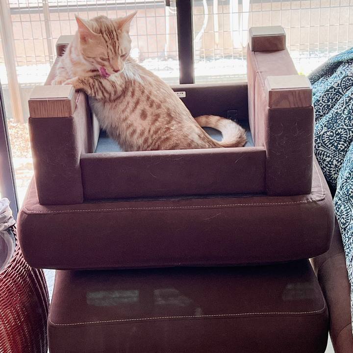 7505dd28 fffb 4c66 a44b e88360150d80 1654388989748