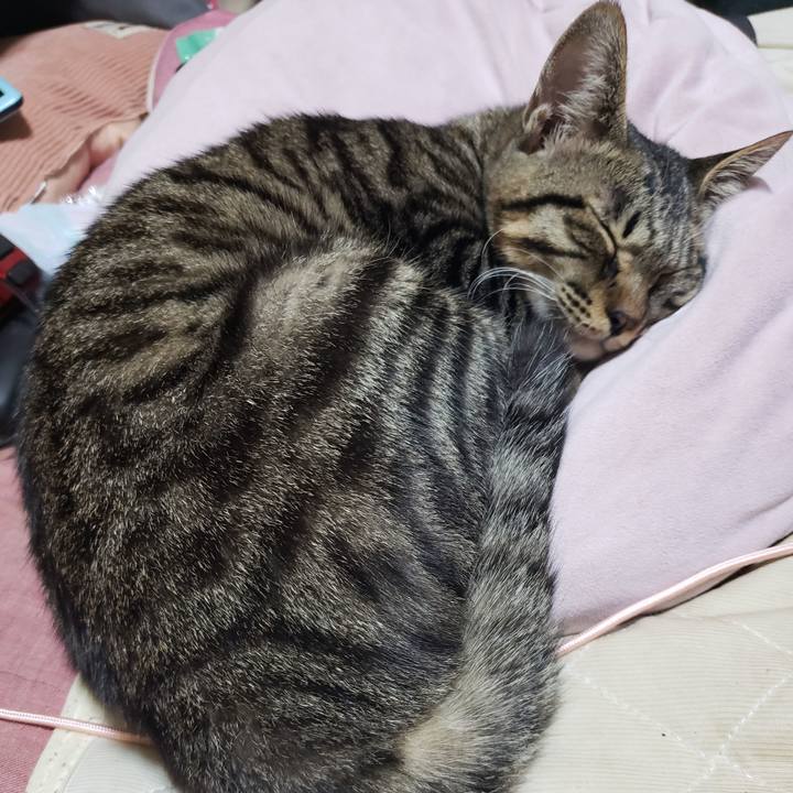 7505e944 d1eb 4f53 97f3 5ceceeb410dc 1543223829526