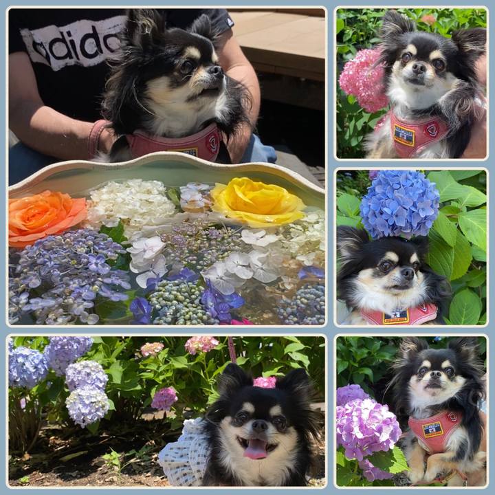 7505ea40 8891 49a0 9c99 e514e576fa7b 1655008564336