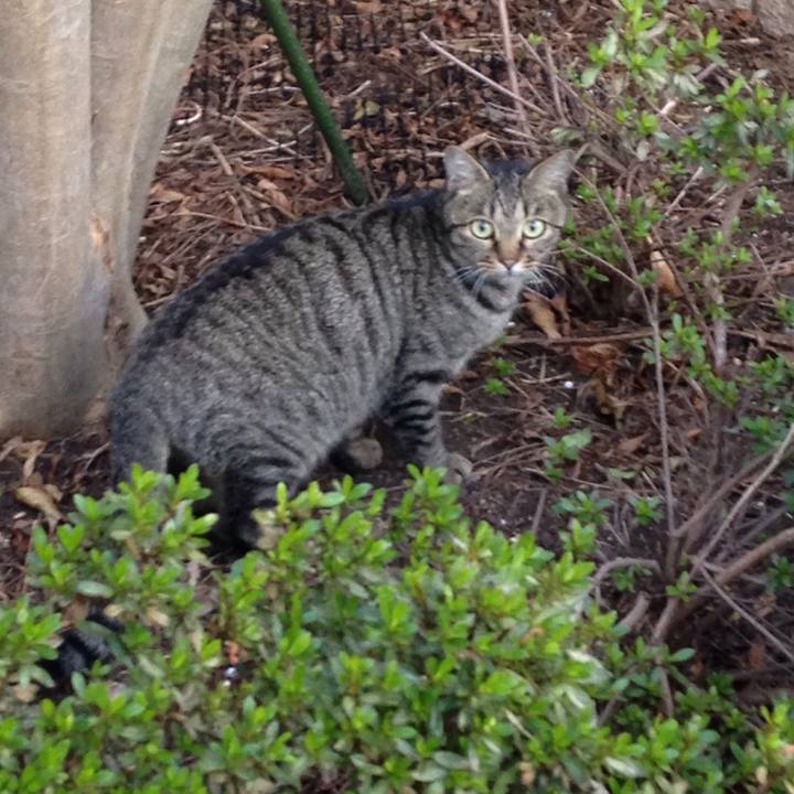 7505f484 a2a2 4ffa 907d 4c669ee36a33 1510045714196