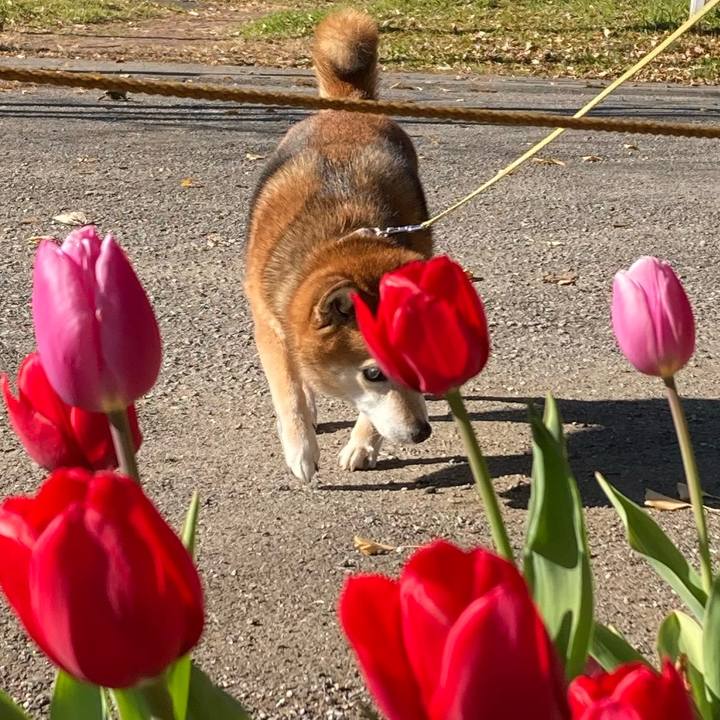 7505f49a c818 4b95 ab5d 850ce833ba78 1672292437390