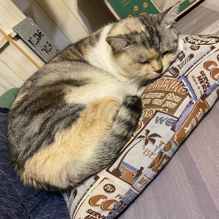 75066432 d362 4a7c 9d85 962b99a765a2 1638121368049