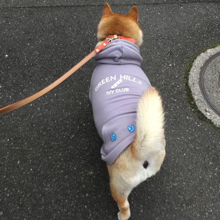 75068416 9691 404b af0c dee440c84b84 1577332599324