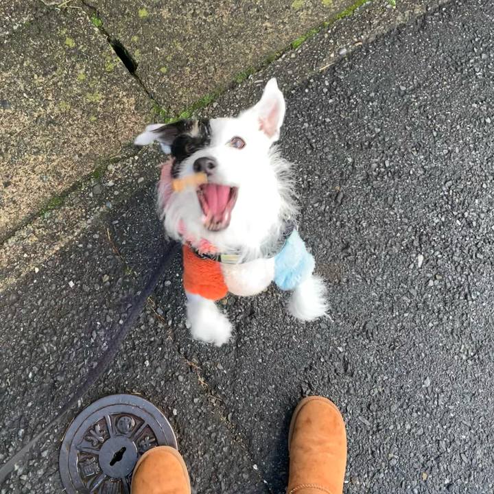 75069bf4 26b8 4bec a6a4 71e6db2175cf 1671326668089