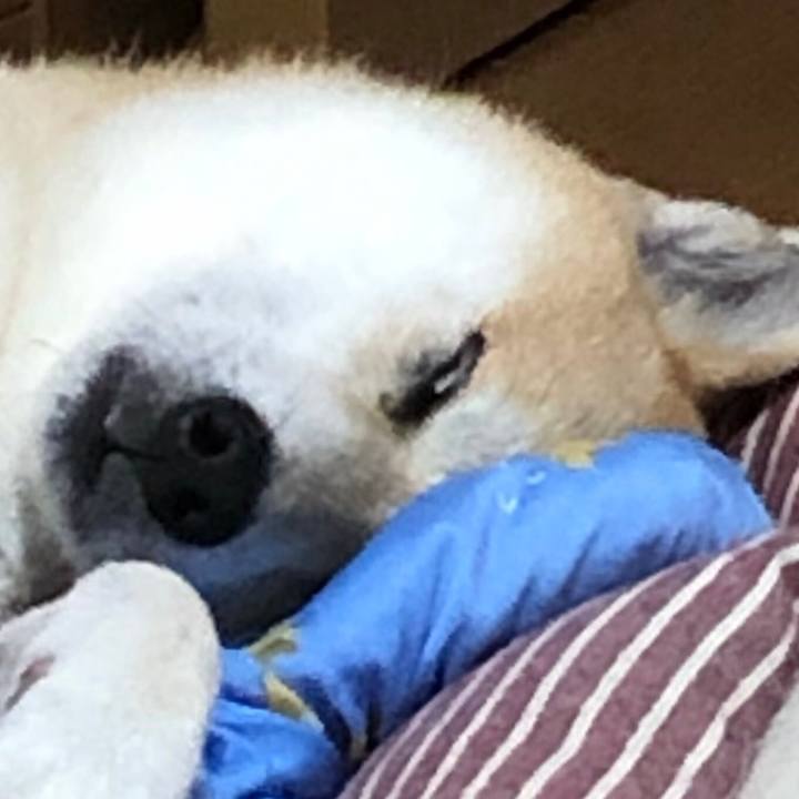 7506ee1c d81f 49e8 91f0 6ddb0d90e804 1559689680089