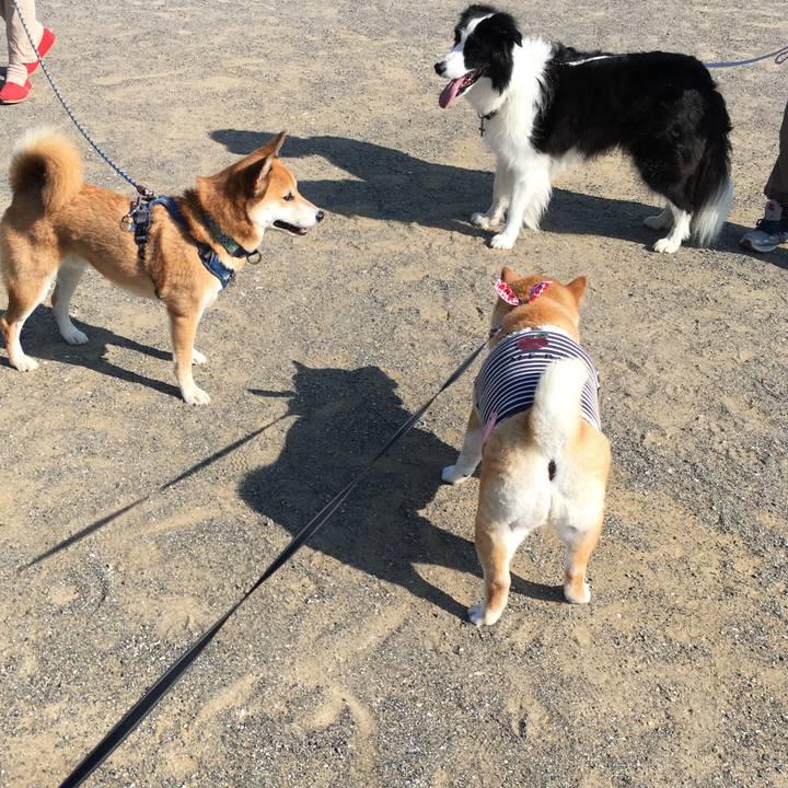 75074807 de9c 4168 b980 0e57dec7ae54 1569544213184