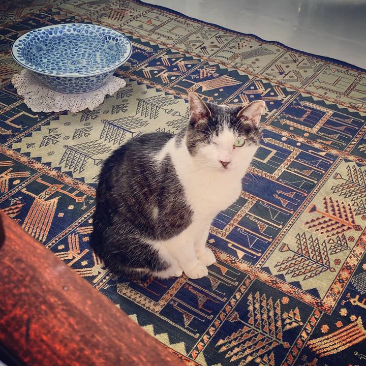 75074fa5 cb09 42ff b77f 39e2b580e60c 1583036138500