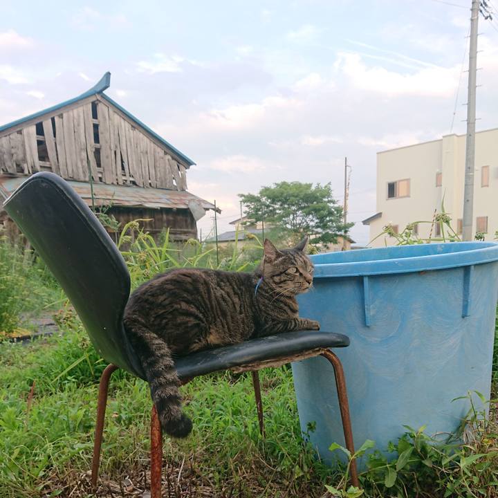 7507576b 906c 42f9 89e9 565569a2b5ef 1658826468183