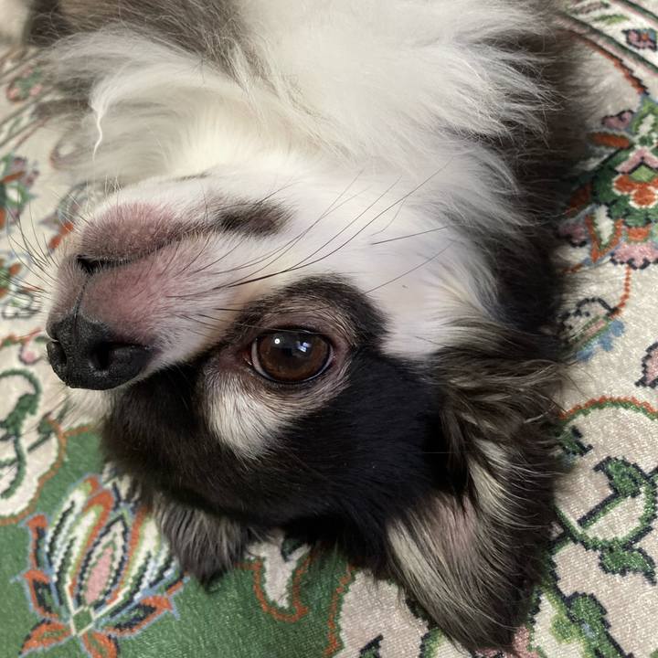 75078cd5 10cc 4764 9420 df47889b171d 1662212662328