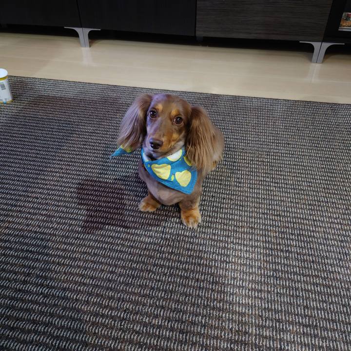 7507a8f9 5465 4d9c 948e e89ce97abd0a 1627086502559