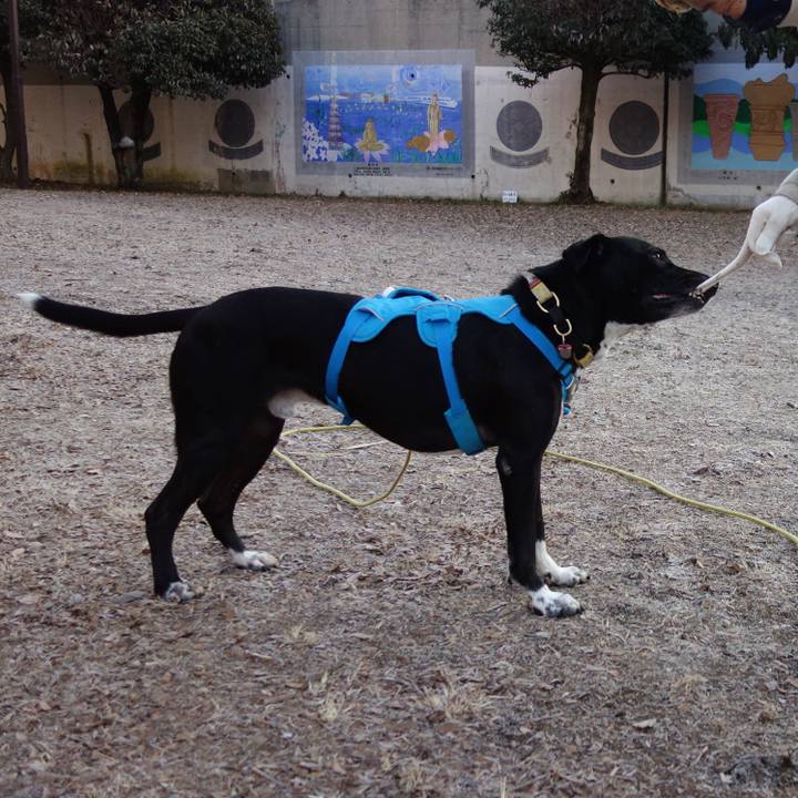 7507b840 8c03 4fc2 8e10 44fbe35cc6fa 1612059811237