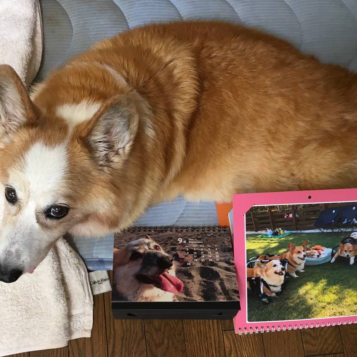 75080545 b510 4d15 8cde 5568d1550611 1567386210230