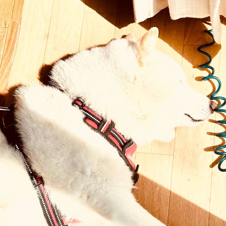 7508294b cb67 45ad 91c7 ecabf3c7270a 1713067452540