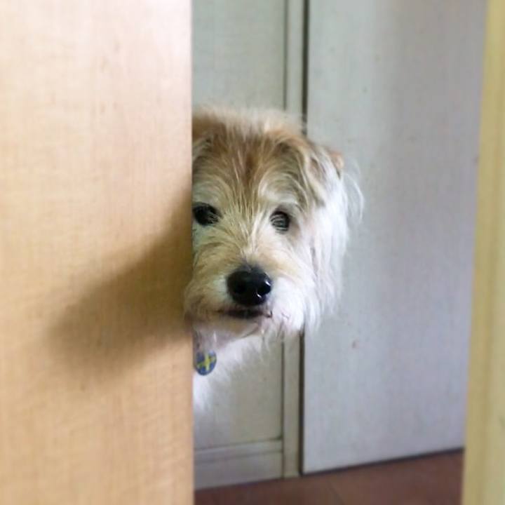 750830ca 1150 41ac 97b2 3f8fa15af749 1619578671011