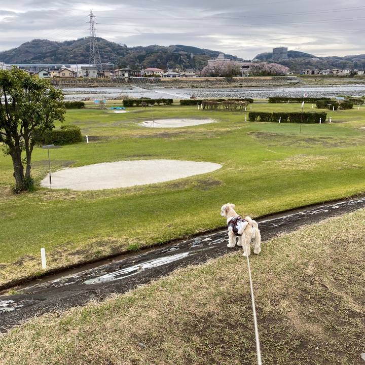 75084101 1b07 4fc0 8f23 d070d7ac266e 1585570172067