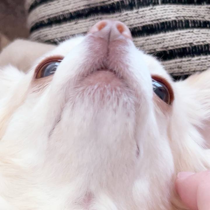 75084e61 ca40 46ab 80b4 6bf2b6b29263 1749196093894