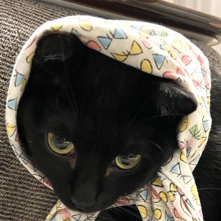 750859df 1bbb 4567 8fdd b4d86ad362ca 1642678546427