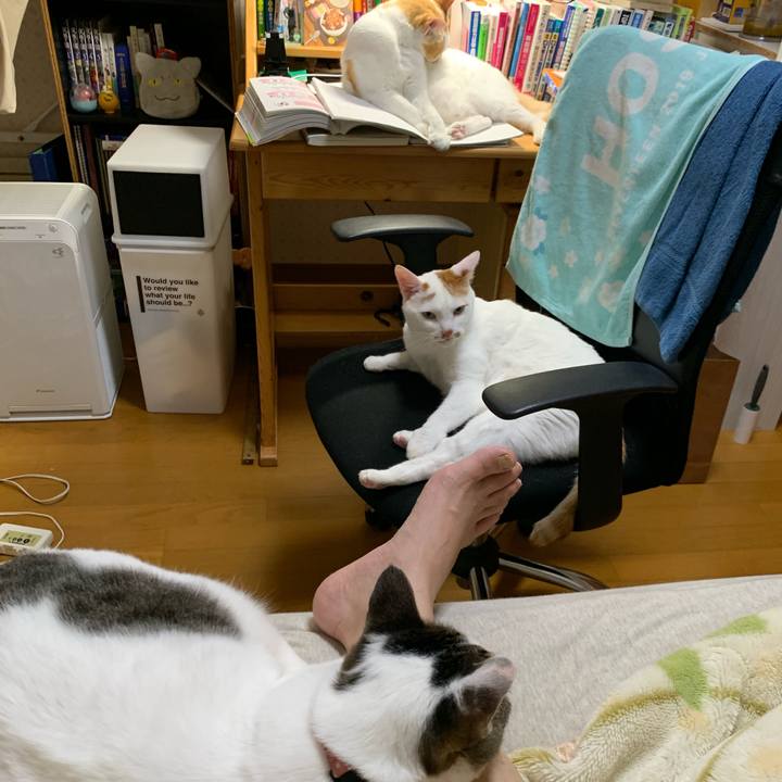 7508745b 35fa 4823 a4e7 fd4121855495 1621777967843