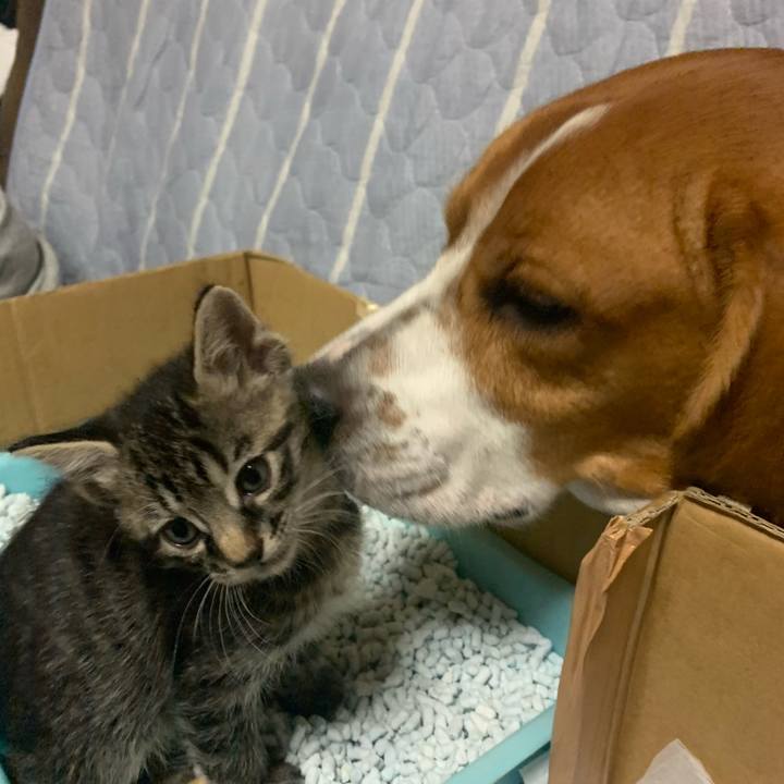 750881d7 3e0c 438c 8c82 20d2478f532a 1571236286861