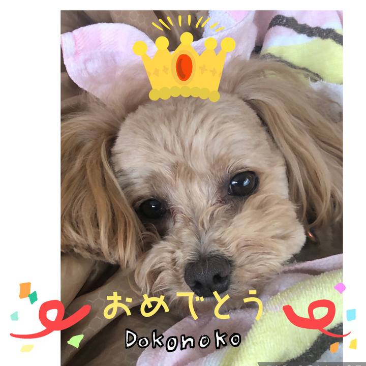 750899dd 08f0 43af 9ea2 9d9fd5cd38fe 1685963317695